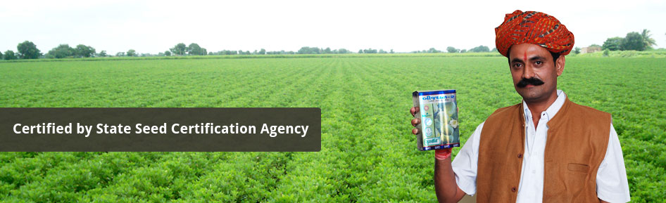 Certified By State Seeds Certification Agency